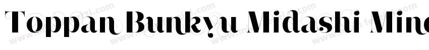 Toppan Bunkyu Midashi Mincho Extrab字体转换